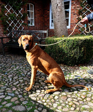 Lade das Bild in den Galerie-Viewer, Tauleine natur