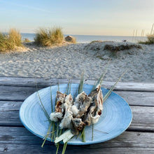 Lade das Bild in den Galerie-Viewer, Rabbit Receiver