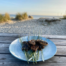 Lade das Bild in den Galerie-Viewer, Snooty Cattle