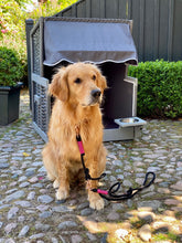 Lade das Bild in den Galerie-Viewer, BEISPIELBILDER Tauleinensets-, Leinen- und Halsbänder