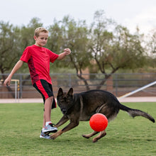 Lade das Bild in den Galerie-Viewer, SOCCER BALL