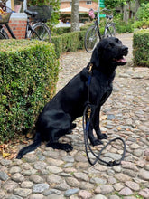 Lade das Bild in den Galerie-Viewer, BEISPIELBILDER Tauleinensets-, Leinen- und Halsbänder