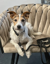 Lade das Bild in den Galerie-Viewer, Robuste Tauleine 'besserfresserbande'