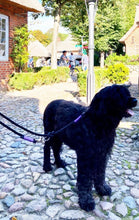 Lade das Bild in den Galerie-Viewer, BEISPIELBILDER Tauleinensets-, Leinen- und Halsbänder