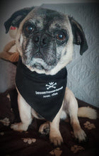 Lade das Bild in den Galerie-Viewer, Halstuch schwarz mit silberfarbener Stickerei