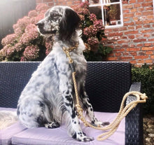 Lade das Bild in den Galerie-Viewer, BEISPIELBILDER Tauleinensets-, Leinen- und Halsbänder