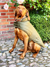 Lade das Bild in den Galerie-Viewer, Klassischer Hundemantel in grün