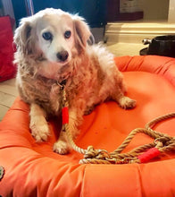 Lade das Bild in den Galerie-Viewer, Halsband blau