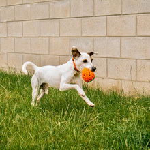 Lade das Bild in den Galerie-Viewer, Erdbeere