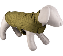 Lade das Bild in den Galerie-Viewer, Klassischer Hundemantel in grün