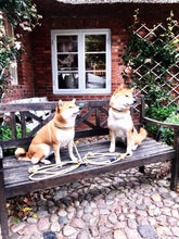 Lade das Bild in den Galerie-Viewer, BEISPIELBILDER Tauleinensets-, Leinen- und Halsbänder